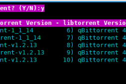 Debian 简单快速配置 QBITtorent 进行刷流